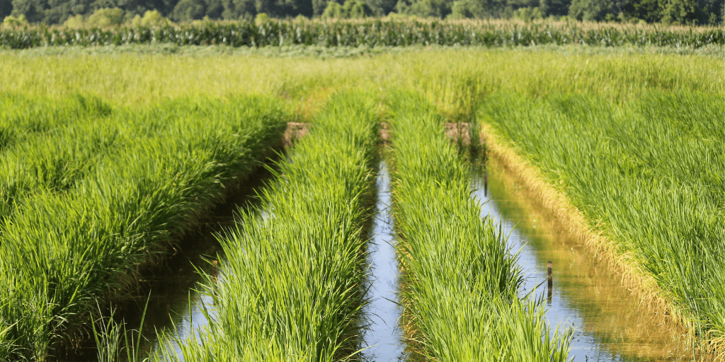 Copy of Linked In | Twitter Events Calendar Post 